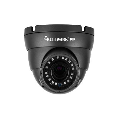 Bullwark - BLW-2101IP-DV